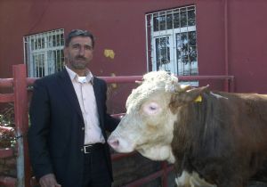 Bakıcı var, alıcı yok..